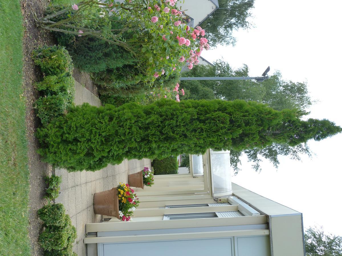 Hostellerie Du Chateau Saint-Pere-sur-Loire エクステリア 写真